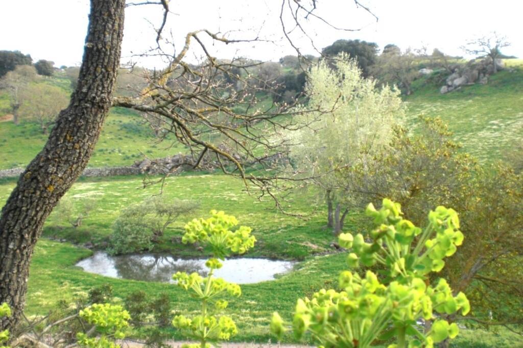 Agriturismo Pentuma Chiaramonti Luaran gambar