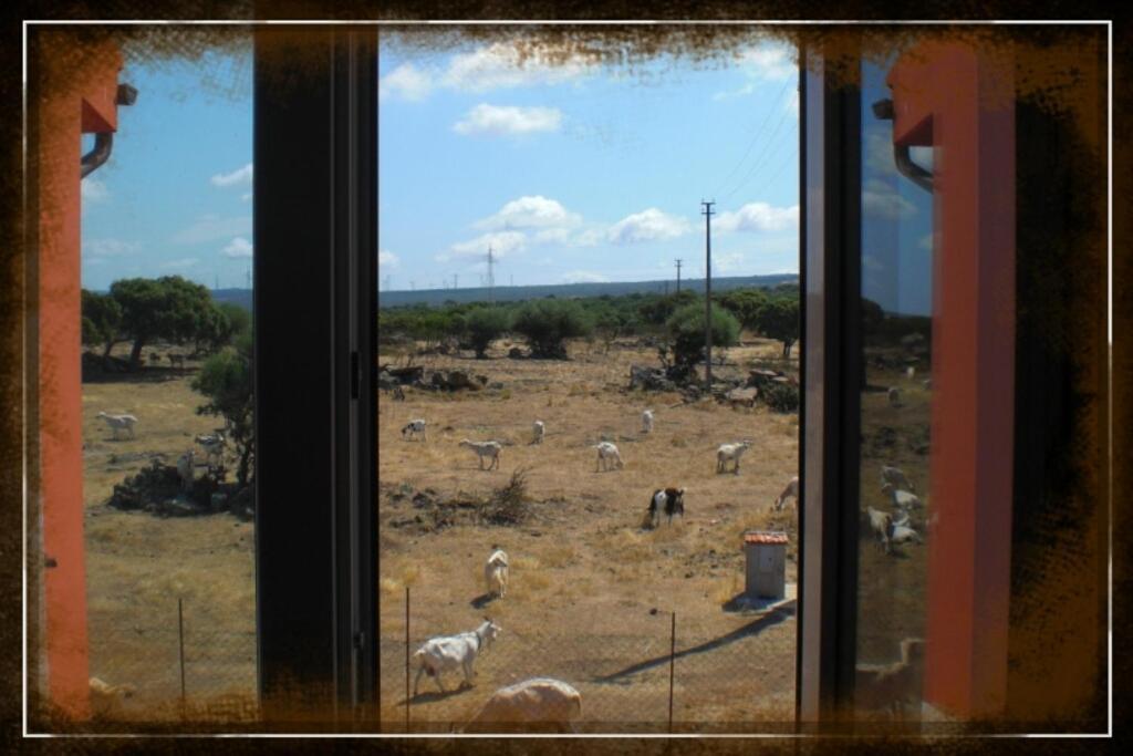 Agriturismo Pentuma Chiaramonti Bilik gambar